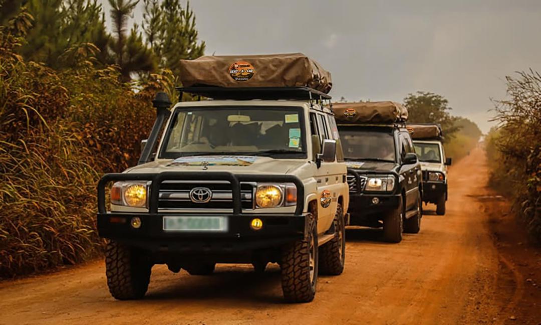 service image for Vehicle Rental